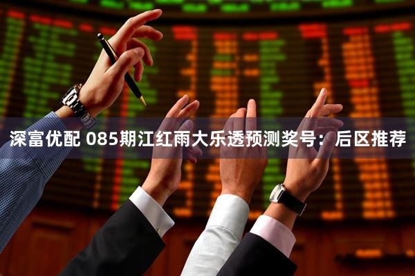 深富优配 085期江红雨大乐透预测奖号：后区推荐