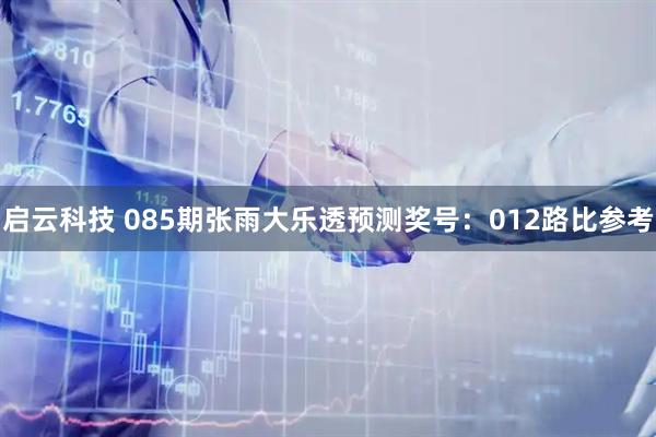 启云科技 085期张雨大乐透预测奖号:012路比参考